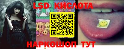 гидра Будённовск