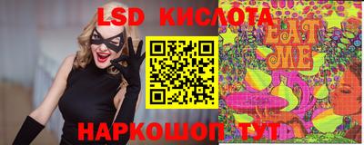гидра Будённовск