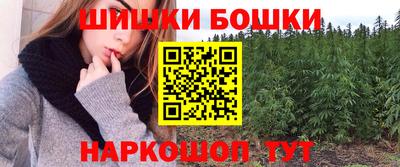 гидра Будённовск