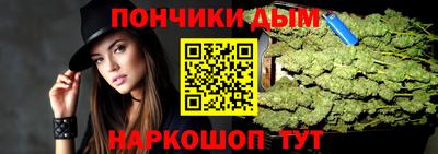 гидра Будённовск