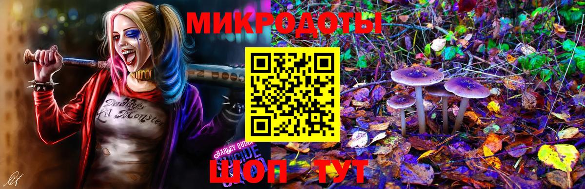 Псилоцибиновые грибы GOLDEN TEACHER Ревда