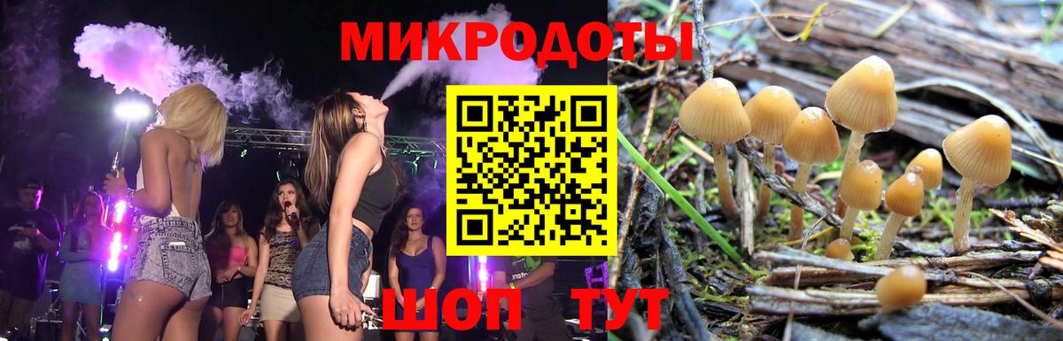 Псилоцибиновые грибы мицелий  Вход с VPN  Ревда 
